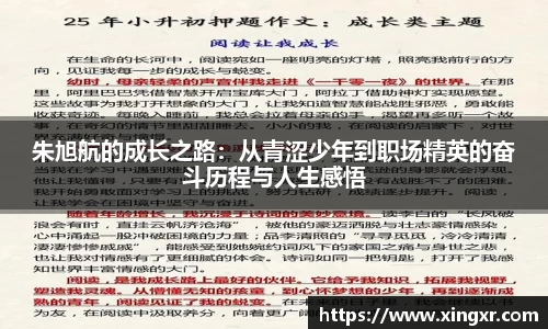 EBET易博官网入口